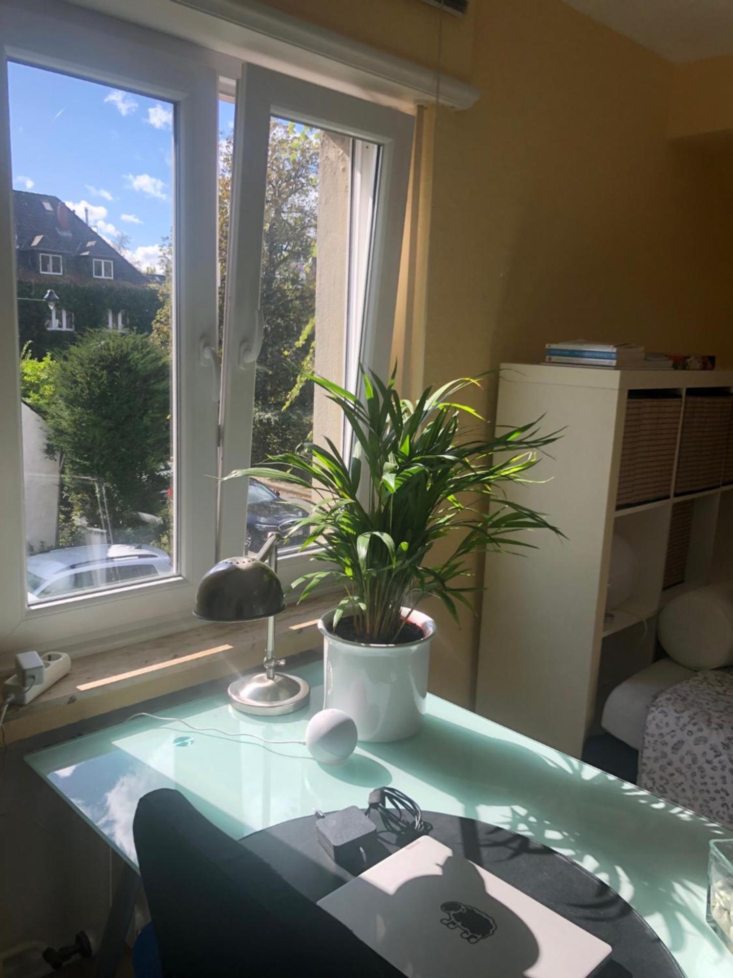 Glueck In Benrath Apartment Dusseldorf Bagian luar foto